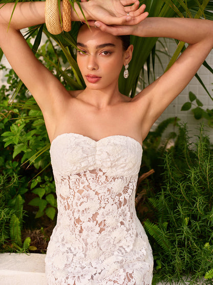 Şeffaf Jakarlı Dantel Panelli Straplez Elbise