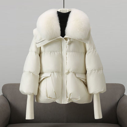 Corarity™ - Windbreaker Ceket