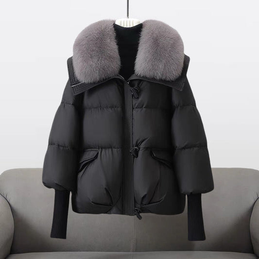 Corarity™ - Windbreaker Ceket